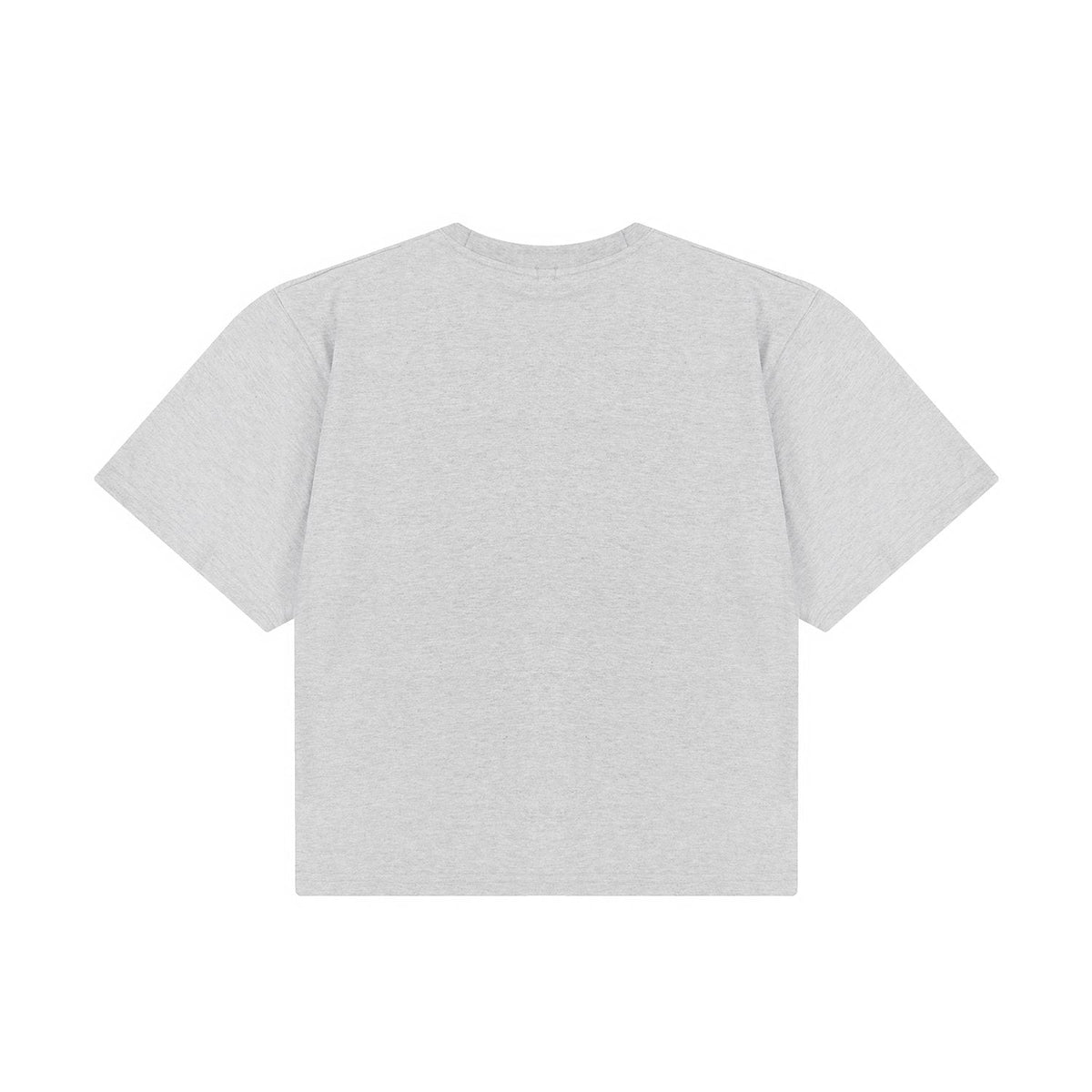 Test2-Ralph Lauren Women's Oversized Drop-Shoulder Pony Embroidered T-Shirt — back